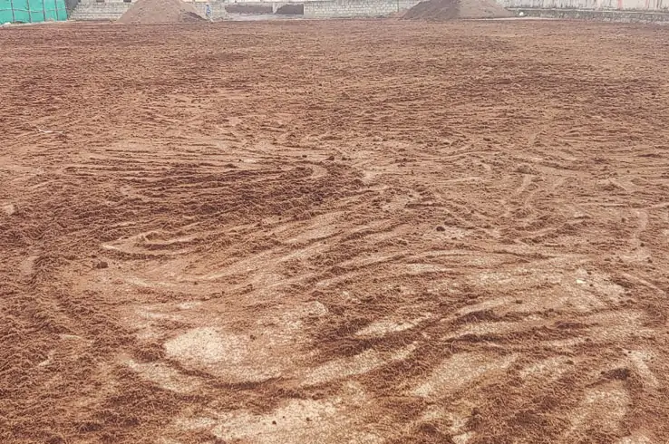 cocopeat drying process