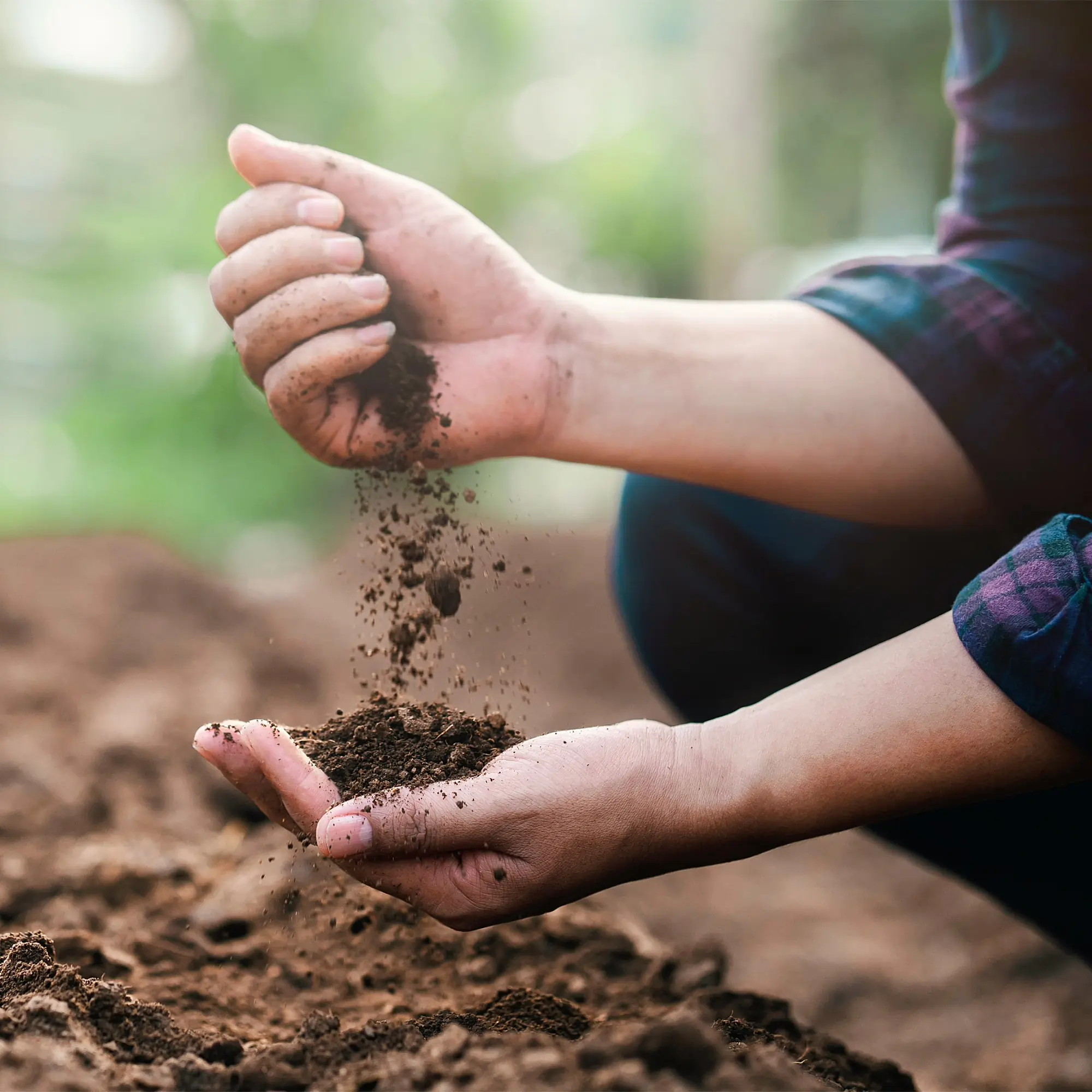 cocopeat manufactures in india