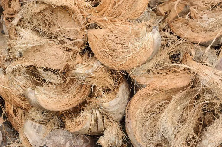 cocopeat raw material